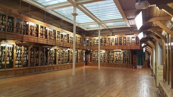 Illustration de l'événement : Visite d'une collection de cires pathologiques