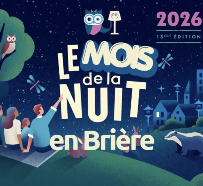 Illustration de l'événement : Atelier bricolage - Créez un gite pour les chauves-souris !