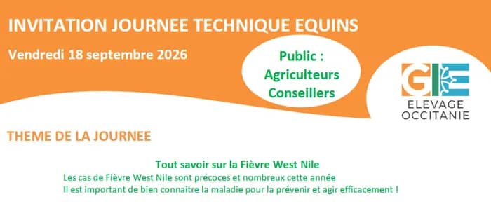 Illustration de l'événement : Webinaire journée technique équins