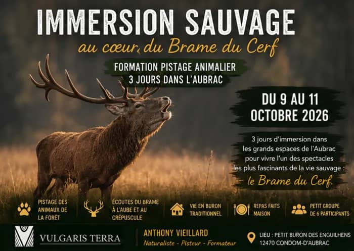Illustration de l'événement : Immersion Sauvage, au cœur du brame du cerf