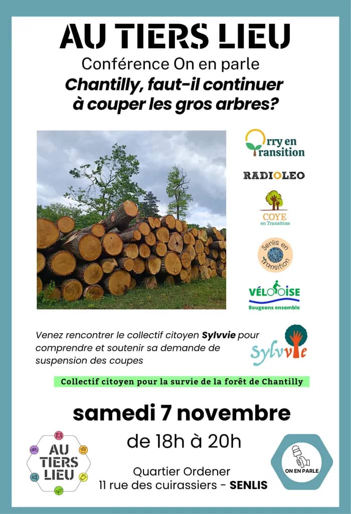 Illustration de l'événement : Chantilly, faut il continuer à couper les gros arbres ?