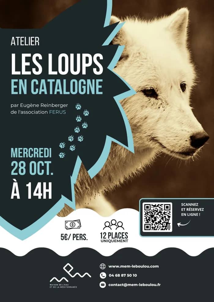 Illustration de l'événement : 🐺 Spécial Halloween : Les loups en Catalogne 🎃