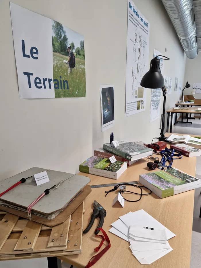 Illustration de l'événement : Observer, identifier, comprendre la flore