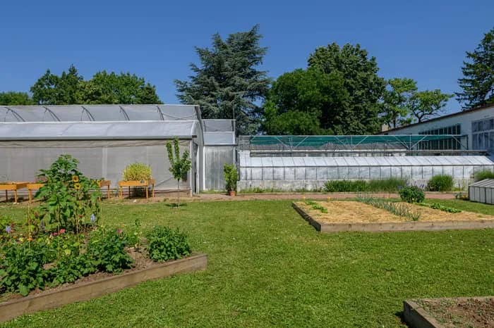Illustration de l'événement : Visite guidée des serres et réalisation d'une coupe de plantes d'intérieur