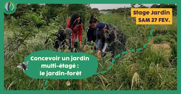 Illustration de l'événement : Stage 1 jour : Concevoir un jardin multi-étagé : le jardin-forêt