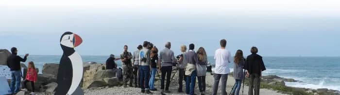 Illustration de l'événement : Observons la migration à l'Ile Grande