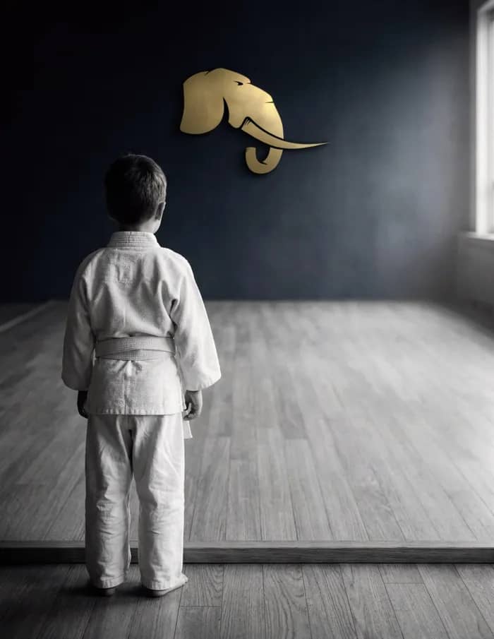 Illustration de l'événement : Promotion 2021 : Ouverture de la Liste d'Attente Prioritaire Éveil Judo & JJB (5 ans) - Jamet Sporting Club Bellevue