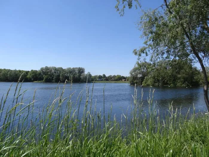 Illustration de l'événement : Visite guidée à la découverte de la préservation du patrimoine naturel de la chaine des lacs