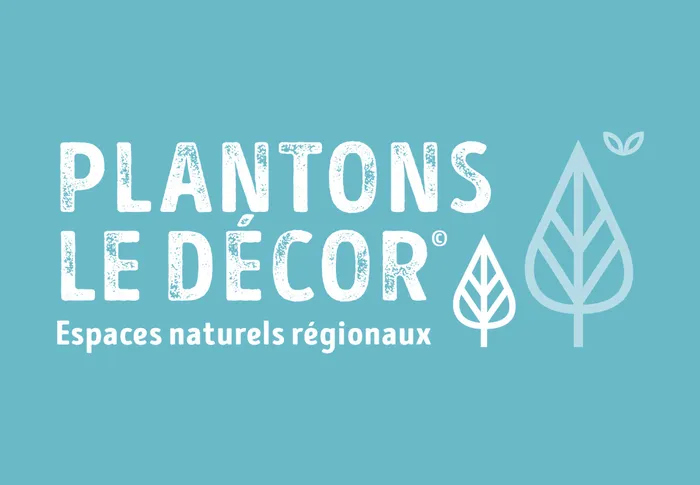 Illustration de l'événement : Plantons le décor 🌱