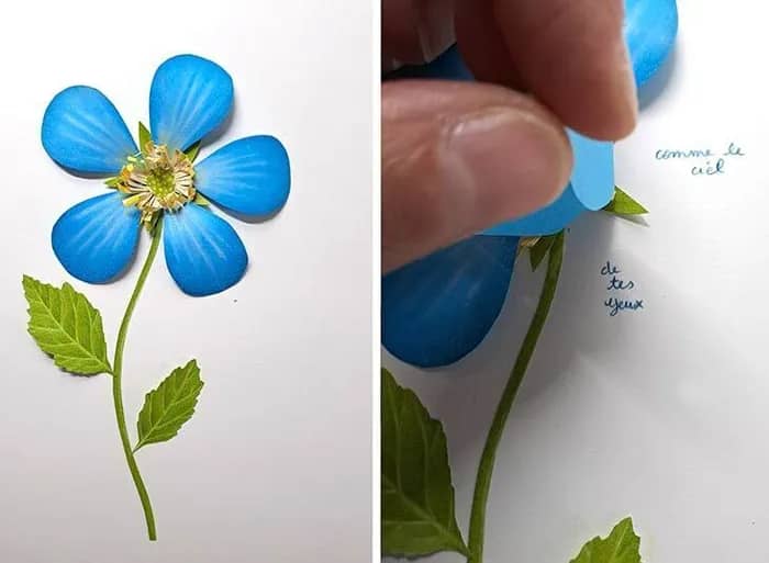 Illustration de l'événement : Sous les jupes des fleurs avec Fanny Pageaud