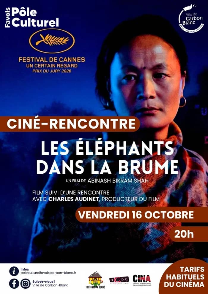 Illustration de l'événement : LES ÉLÉPHANTS DANS LA BRUME | VOST + CINÉ-RENCONTRE