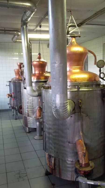 Illustration de l'événement : La distillation.