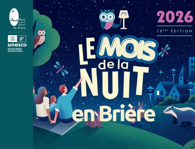 Illustration de l'événement : Atelier de construction de gîtes à chauves-souris