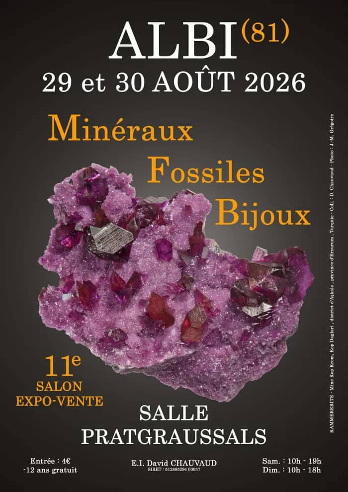 Illustration de l'événement : 11e SALON MINERAUX FOSSILES BIJOUX d'ALBI (Tarn)