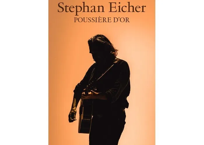 Illustration de l'événement : Stephan Eicher : Poussière d'Or