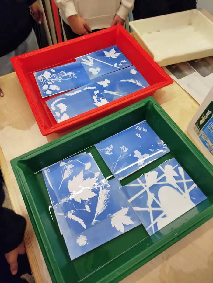 Illustration de l'événement : Atelier cyanotype pour les groupes