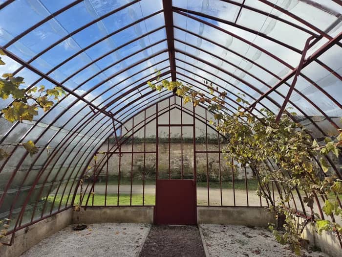 Illustration de l'événement : Visite guidée de Thomery autour du chasselas