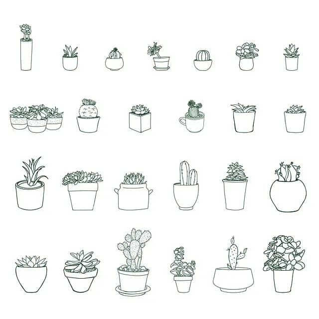 Illustration de l'événement : Troc aux plantes
