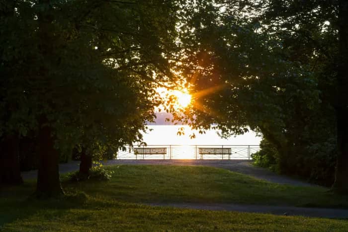 Illustration de l'événement : Seniors, prendre soin de sa santé | Entraînement de walking et course à pied