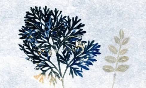 Illustration de l'événement : Le monotype : entre gravure et peinture / avec l'Académie d'art de Meudon