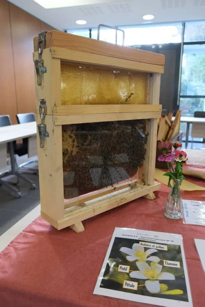 Illustration de l'événement : Atelier apiculture - Extraction du miel