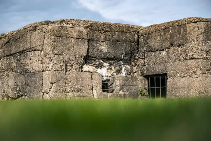 Illustration de l'événement : Visite guidée de l'exposition temporaire "Le Front fortifié des Weppes : le béton à l'épreuve de la guerre"