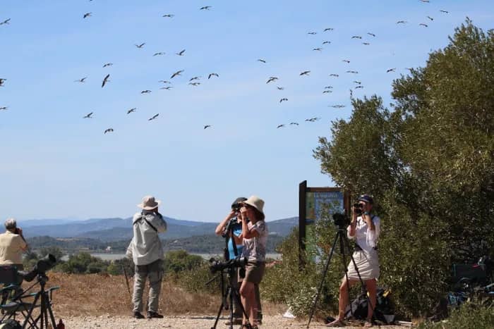 Illustration de l'événement : Découverte de la migration des oiseaux au Roc de Conilhac !