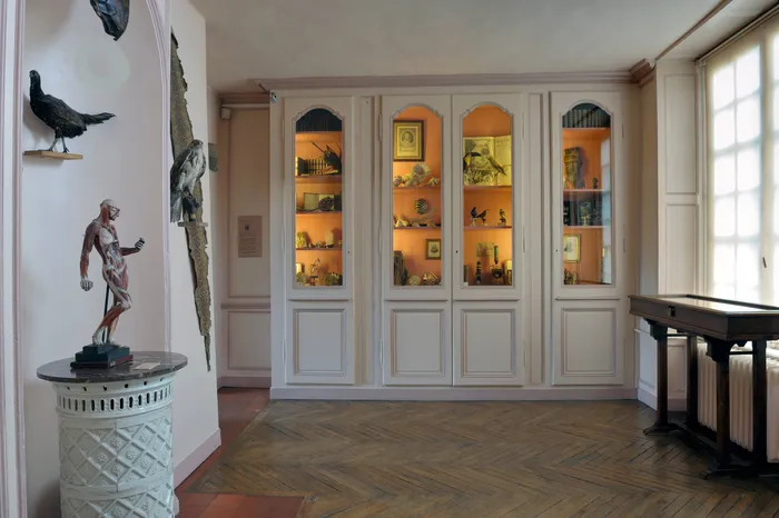 Illustration de l'événement : Visite commentée de la collection permanente