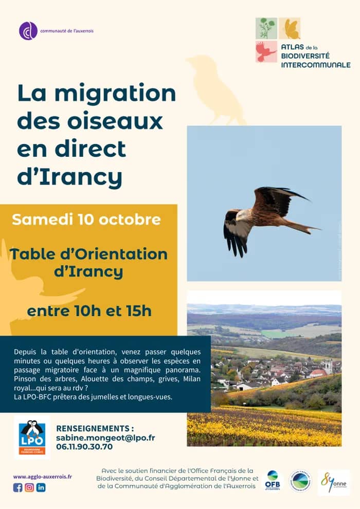 Illustration de l'événement : La migration des oiseaux en direct d'Irancy