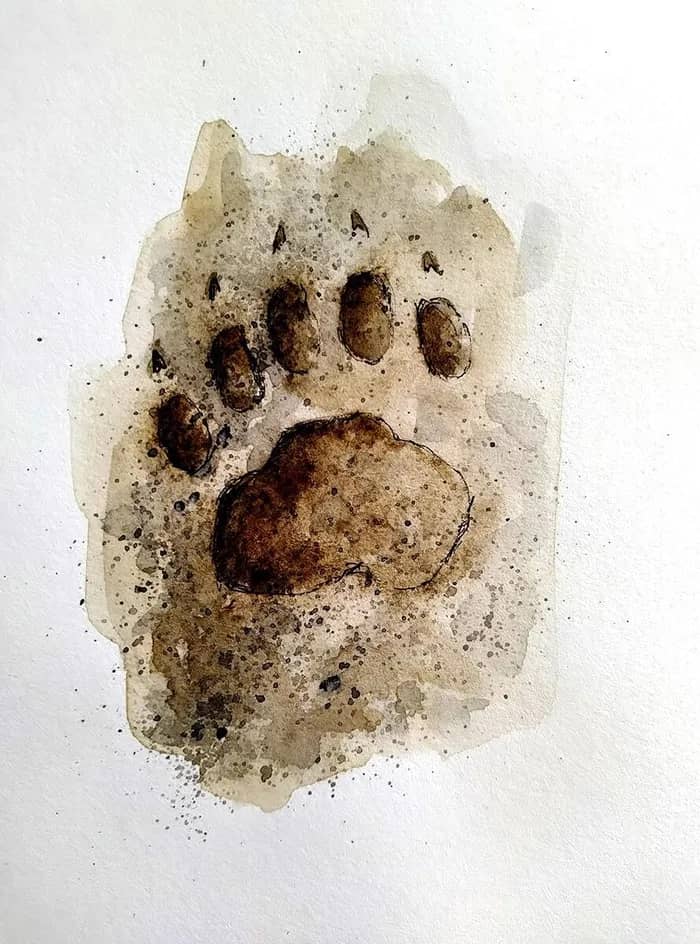 Illustration de l'événement : Atelier Moulage d'empreintes animalières