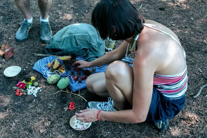 Illustration de l'événement : Composer avec la nature - Une immersion artistique autour du land art au Parc de Saint-Cloud