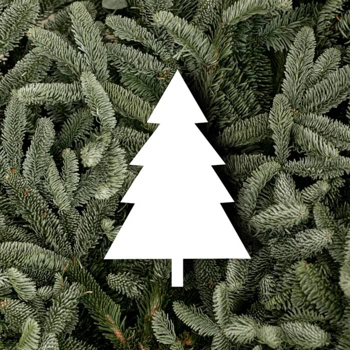 Illustration de l'événement : Atelier créatif de Noël