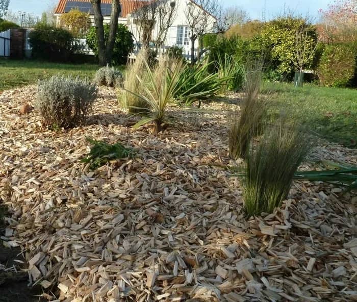 Illustration de l'événement : Jardinons ! Mon massif "Zéro arrosage"