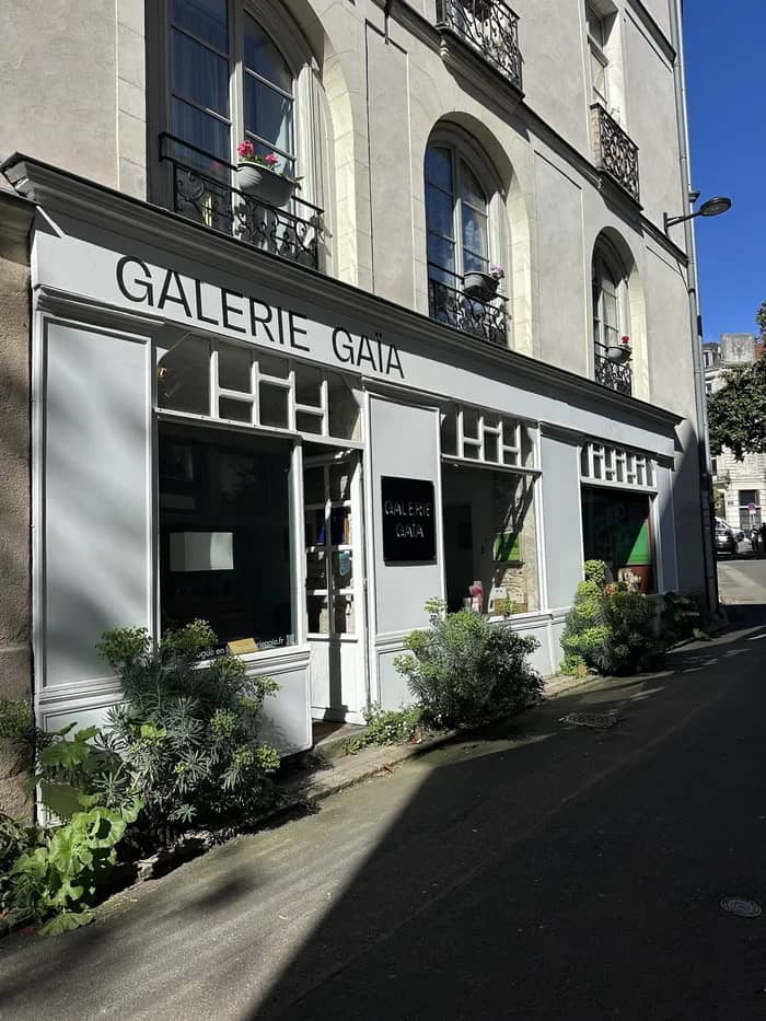 Illustration de l'événement : Collection Jean-François Mollière & Patrick Miara - Galerie Gaïa