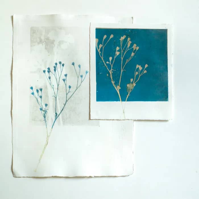 Illustration de l'événement : Atelier monotype