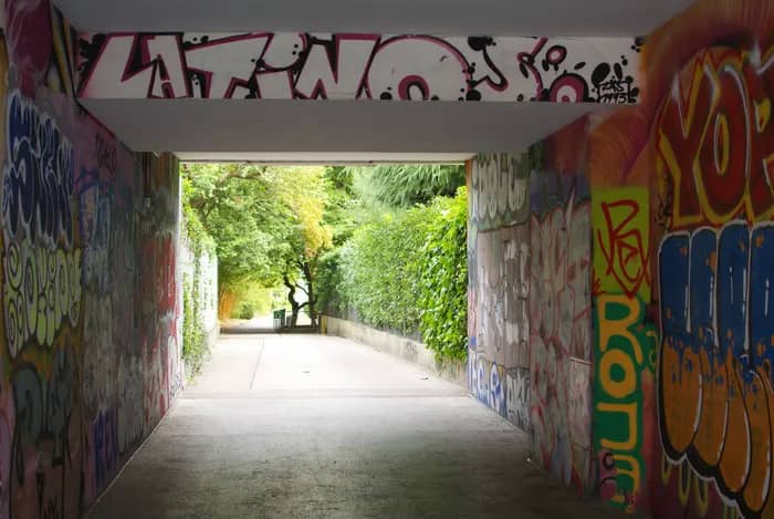 Illustration de l'événement : Balades de récolte urbaine: «Frontières»