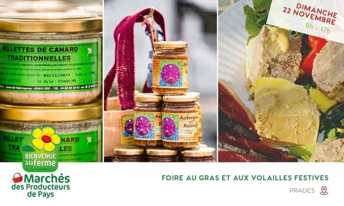 Illustration de l'événement : Foire au Gras et aux Volailles Festives