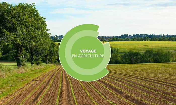 Illustration de l'événement : Voyage en agriculture - Elevage - Châteaubriant (44)
