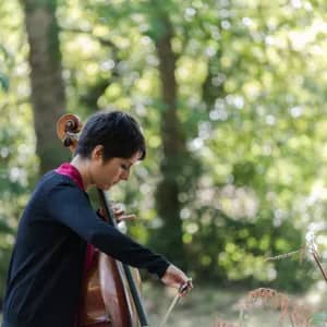 Illustration de l'événement : Balade musicale en forêt