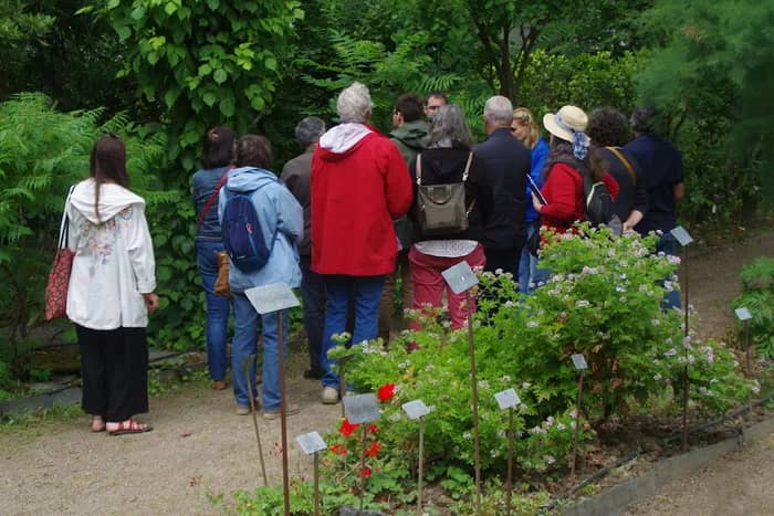 Illustration de l'événement : Visites guidées du jardin botanique de la faculté de santé d'Angers