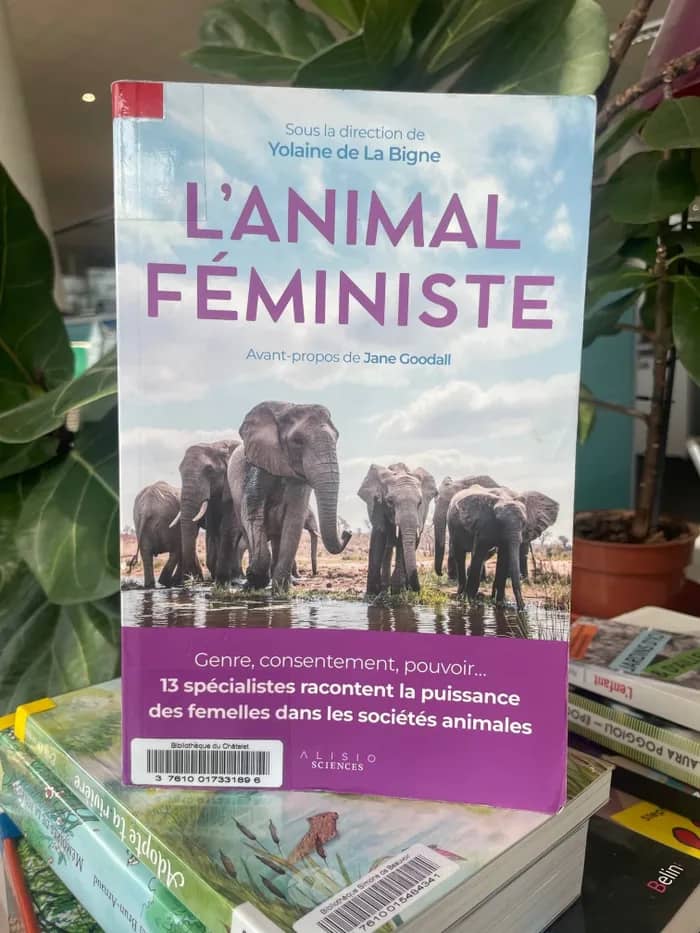 Illustration de l'événement : Table ronde : L'animal féministe