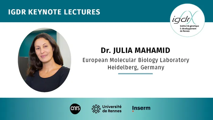 Illustration de l'événement : IGDR Keynote Lectures - Dr. Julia Mahamid, European Molecular Biology Laboratory