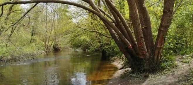 Illustration de l'événement : Pédalons au fil de l'eau : de Cantinolles à la Plaine de Gajac