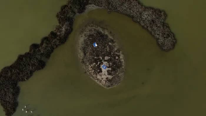 Illustration de l'événement : Visite du site naturel protégé des Salines de Villeneuve