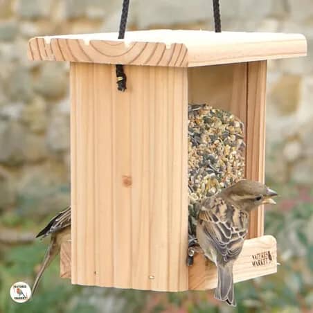 Illustration de l'événement : Atelier "Fabriquer une mangeoire à oiseaux"
