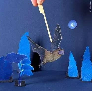 Illustration de l'événement : Atelier d’été : Théâtre de papier, les chauve souris en scène !