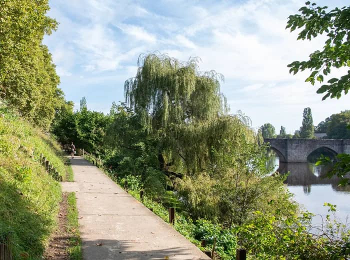 Illustration de l'événement : Apéritive Bords de Vienne