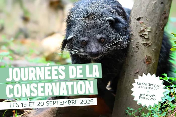 Illustration de l'événement : Zoo de Lille : Les journées de la conservation