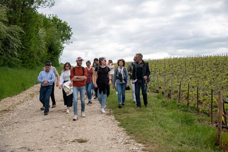 Illustration de l'événement : Vignobles en Scène - Balade Vigneronne avec le Champagne Binon-Coquard