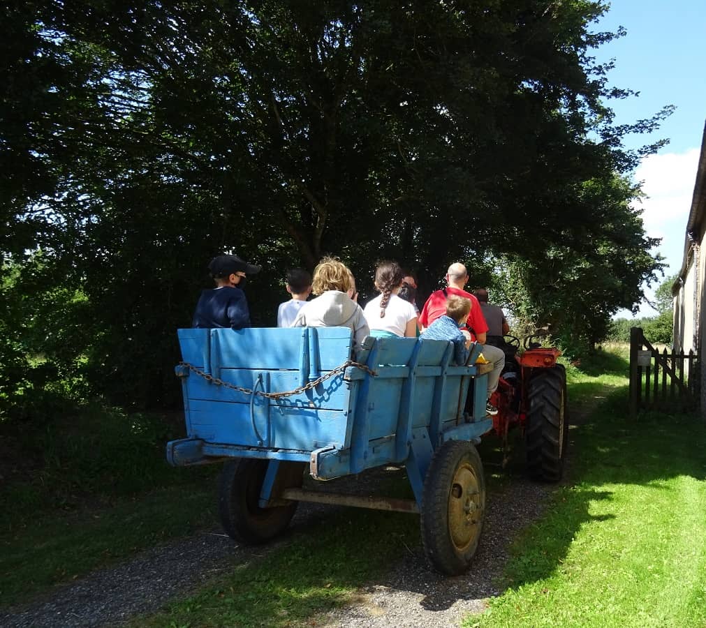 Illustration de l'événement : Balade en tracteur vintage - Ferme-musée du Cotentin